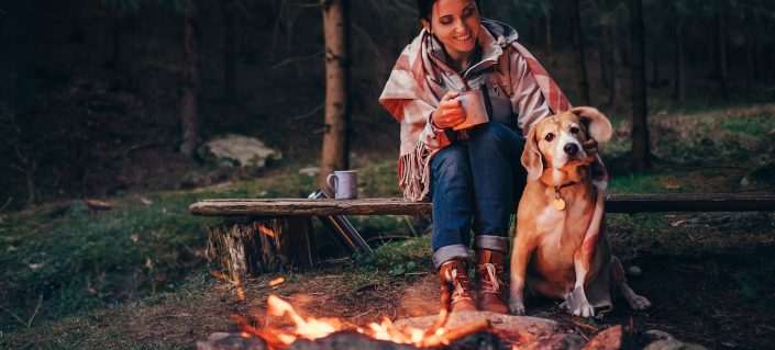 6 articles utiles à emporter en VR lorsqu’on voyage avec un chien