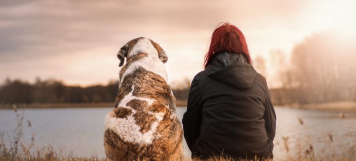 Les meilleures destinations canadiennes pour amener son chien