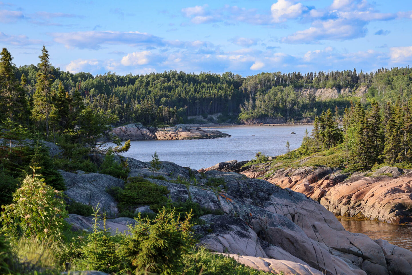 Rivage sauvage de granit rose et forêt de conifères au parc national du Cap-de-Bon-Désir, Côte-Nord, Québec.