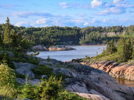Rivage sauvage de granit rose et forêt de conifères au parc national du Cap-de-Bon-Désir, Côte-Nord, Québec.