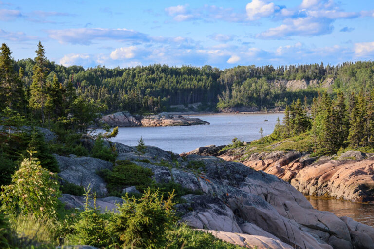 Rivage sauvage de granit rose et forêt de conifères au parc national du Cap-de-Bon-Désir, Côte-Nord, Québec.