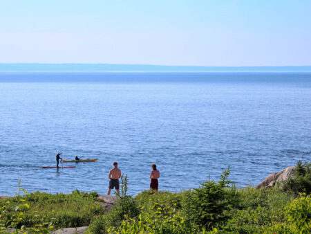 Personnes pratiquant le kayak de mer et la planche à pagaie (paddleboard) sur les eaux calmes du fleuve Saint-Laurent près du rivage.
